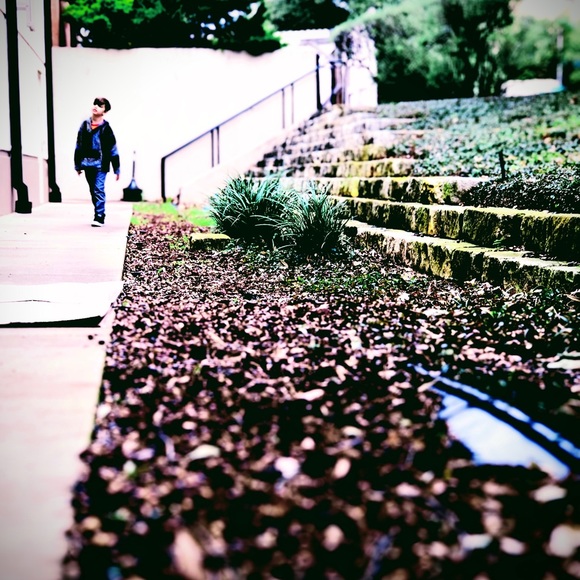 Meet your Posher, Haley - Picture 4 of 16